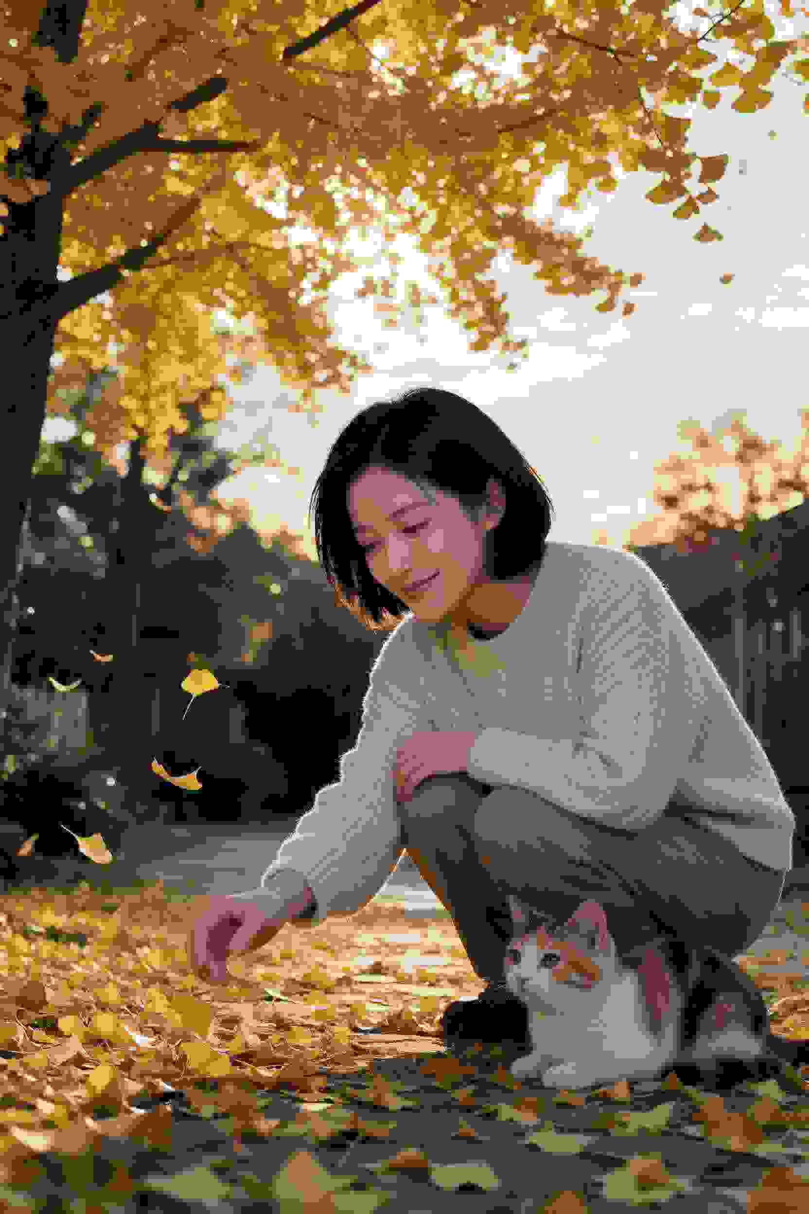 执念如歌
